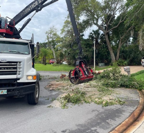 Debris Removal Ormond Beach, FL Flying Squirrel Tree and Debris Removal